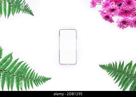 Fougères et chrysanthèmes sur fond blanc, téléphone mobile avec écran vide au centre. Vue de dessus, plat, espace de copie. Banque D'Images