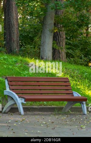 Banc en bois pour se reposer dans le parc en été. Gros plan, mise au point sélective, flou. Banque D'Images