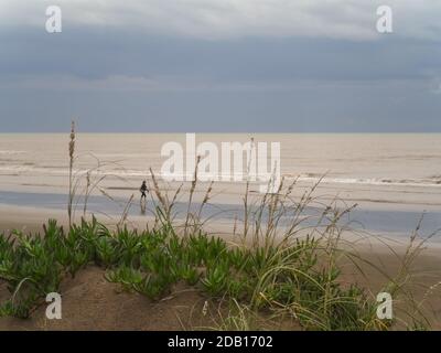 marche sur le sable de la plage solitaire, sous un ciel nuageux, avec des vagues douces, la brume marine et les dunes. Mar de Ajo, la Costa, Buenos Aires, Argentine Banque D'Images