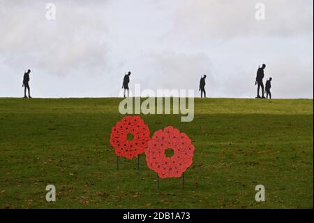 Debout avec Giants une installation artistique créée par Witney, l'artiste basé dans l'Oxfordshire Dan Barton pour commémorer le jour du souvenir a été installée dans t Banque D'Images