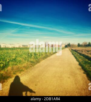 ombre du motard sur la route sale Banque D'Images
