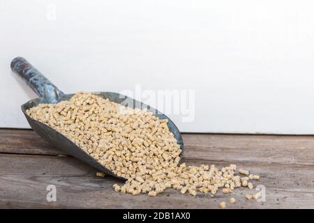 cuillère à pelle avec alimentation équilibrée pour l'élevage du poulet Banque D'Images