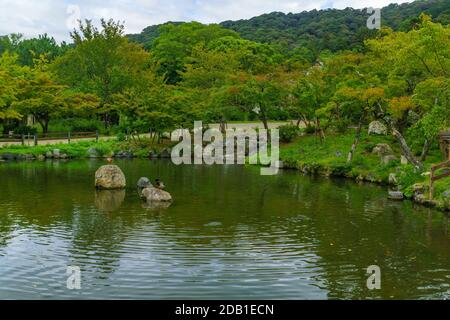 Vue sur un étang dans le parc Maruyama, à Kyoto, Japon Banque D'Images