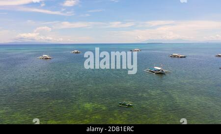 Vue aérienne des bateaux philippins traditionnels dans la baie en eau turquoise. Panglao, Philippines. Concept vacances d'été et de voyage. Banque D'Images
