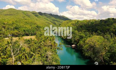 La rivière dans la forêt tropicale au milieu de la végétation verte luxuriante. Vue sur la rivière Loboc depuis le sommet. Bohol, Philippines. Banque D'Images