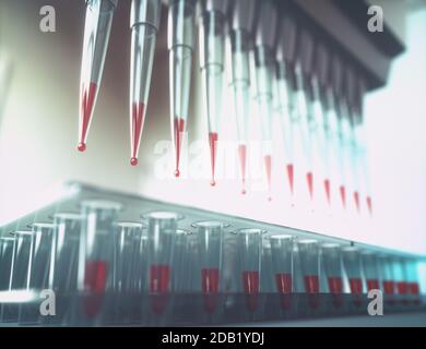 Pipettes multicanaux et plaques multi-puits utilisées en laboratoire de microbiologie. Illustration tridimensionnelle. Banque D'Images