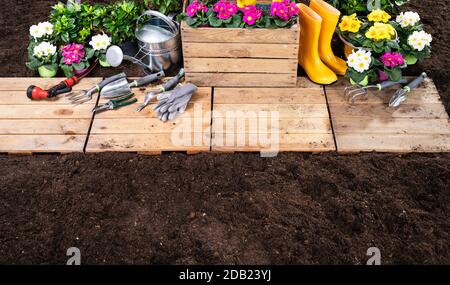 Ensemble D'Outils De Jardinage Et Fleurs Dans Sunny Garden Banque D'Images