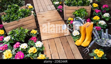 Ensemble D'Outils De Jardinage Et Fleurs Dans Le Jardin Banque D'Images