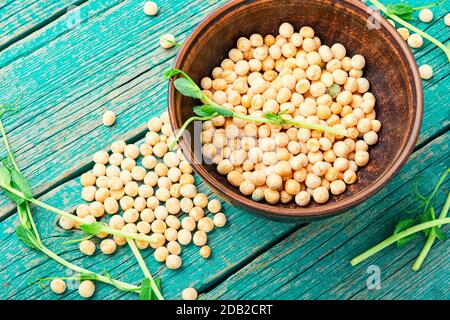 Germes de pois germés et pois secs sur fond de bois Banque D'Images