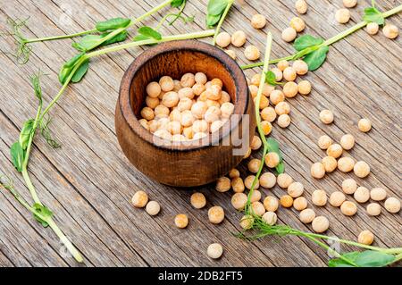 Germes de pois germés et pois secs sur fond de bois Banque D'Images