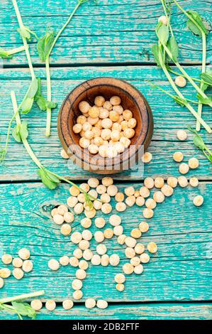 Pousses de pois germés et pois secs sur table en bois Banque D'Images