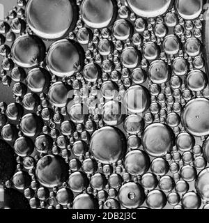 Gros plan des bulles d'huile sur fond noir et blanc, image macro, gouttes d'eau floues, fond d'écran abstrait. Banque D'Images