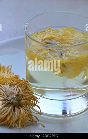 Une infusion de fleurs de chrysanthème. La plante est utilisée en médecine traditionnelle chinoise depuis des siècles et est connue pour ses propriétés de refroidissement. Banque D'Images