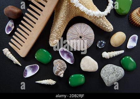 Arrière-plan avec différents shells et cinq étoiles de mer Banque D'Images