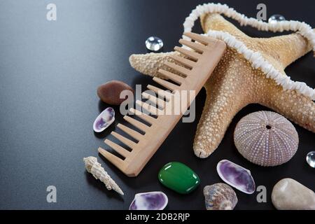 Arrière-plan avec différents shells et cinq étoiles de mer Banque D'Images