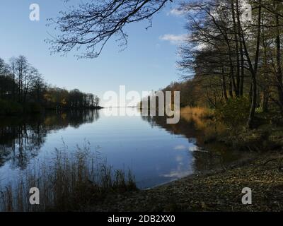 soirée fluviale, automne magnifique paysage, arbres se reflètent dans l'eau Banque D'Images