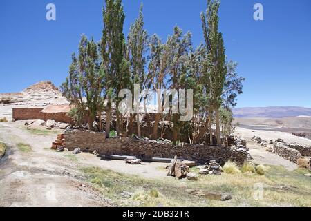 Maison près du Geyser de Botijuela à la zone volcanique d'Antovalla à la Puna de Atacama, Argentine. Antofalla se trouve dans l'Antofagasta de la Sierra de Banque D'Images