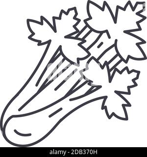 Icône de céleri, illustration isolée linéaire, vecteur de ligne mince, signe de conception de Web, symbole de concept de contour avec contour modifiable sur fond blanc. Illustration de Vecteur