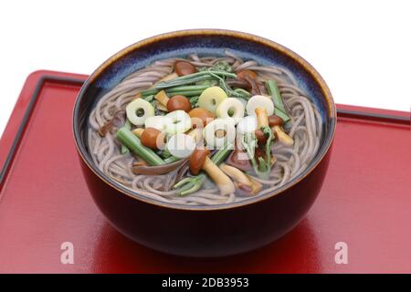 Nouilles soba sansai japonaises dans un bol en céramique sur plateau Banque D'Images