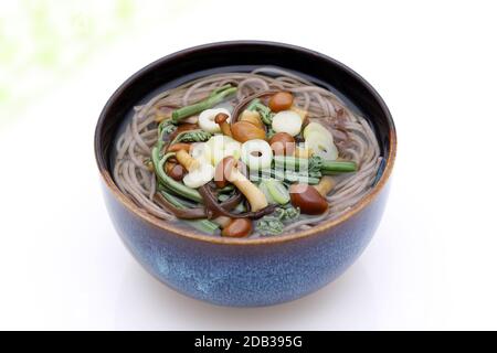 Nouilles soba sansai japonaises dans un bol en céramique sur fond blanc Banque D'Images