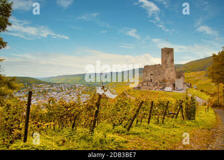 Paysage viticole près de Cochem et Leiwen sur la Moselle Banque D'Images