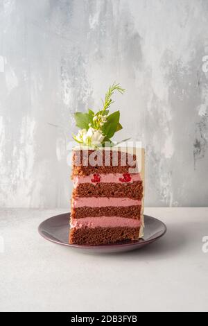 Gâteau de fête au chocolat avec crème Buttercream rose – FOOPPIX Banque D'Images