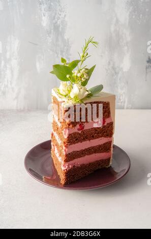 Gâteau de fête au chocolat avec crème Buttercream rose – FOOPPIX Banque D'Images