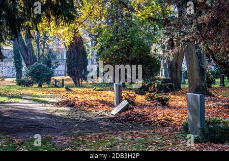 Friedhof Sophien ll,Mitte,cimetière de Berlin en automne avec tombes, tapis de feuilles brunes et filiage doré sur les arbres Banque D'Images