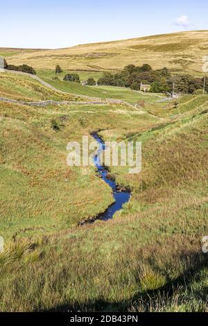 Swinespe Burn coulant de Swinespe Moor sur Allendale Common, à l'ouest d'Allenheads, Northumberland, Royaume-Uni Banque D'Images