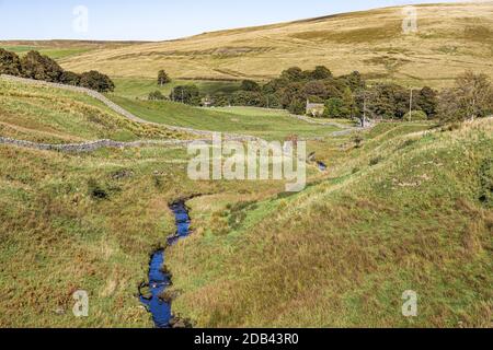 Swinespe Burn coulant de Swinespe Moor sur Allendale Common, à l'ouest d'Allenheads, Northumberland, Royaume-Uni Banque D'Images