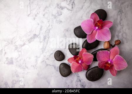 pierres de spa et fleurs d'orchidées roses sur fond de marbre blanc. vue de dessus Banque D'Images