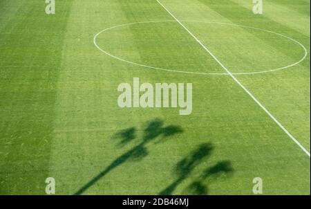 À l'ombre des palmiers sur une pelouse de terrain de football. Banque D'Images