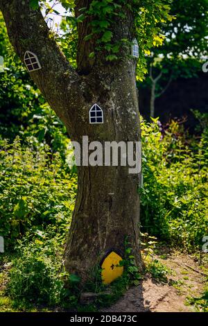Portes et fenêtres de fées sur l'arbre dans la forêt pour les petits, Irlande Banque D'Images