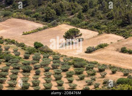 Vue panoramique sur la vallée du Luberon de la célèbre les Baux de Provence village médiéval dans le sud de la France Banque D'Images