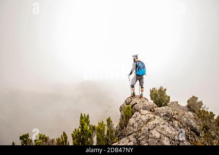 Randonneur regardant la vue, route de Machame, Mont Kilimanjaro, Tanzanie Banque D'Images