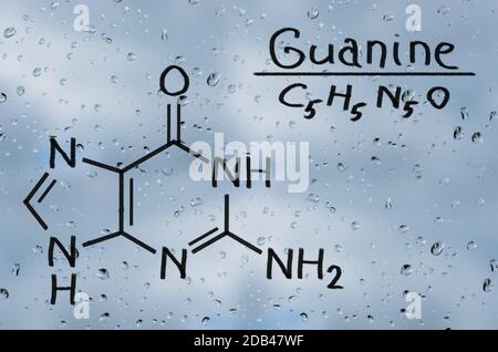 Modèle structural de la guanine sur la vitre avec la pluie. Banque D'Images