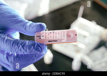 Le médecin présente un test de laboratoire rapide COVID-19 pour détecter les anticorps IgM et IgG contre Covid-19. Turin, Italie - novembre 2020 Banque D'Images