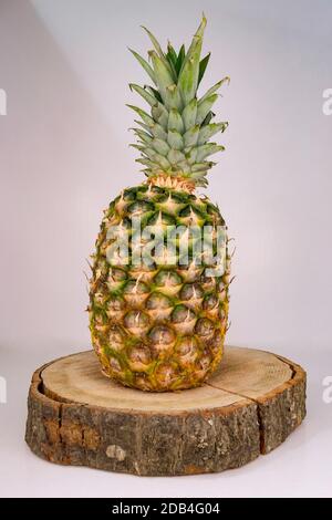 Ananas frais entier reposant sur une bûche de bois avec un fond blanc et rayon de lumière Banque D'Images