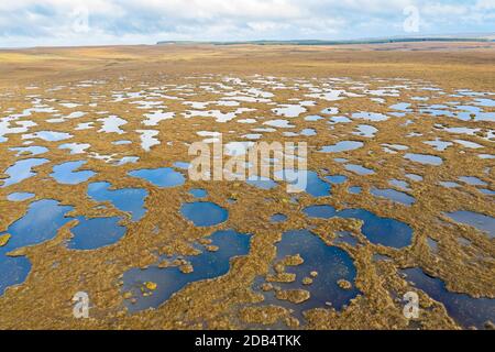 Tourbières dans une tourbière en couverture à la réserve de Forsinard RSPB, Flow Country, nord de l'Écosse, automne. Banque D'Images