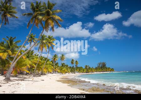 République dominicaine, Punta Cana, Parque Nacional del Este, l'île de Saona, Mano Juan, un pittoresque village de pêcheurs