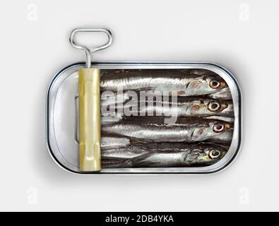Sardines dans un CAN ouvert prêt à manger Banque D'Images