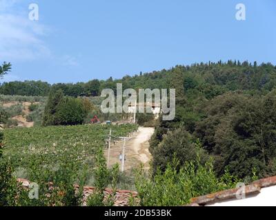 Villa en Toscane entre vignobles et oliveraies un Banque D'Images