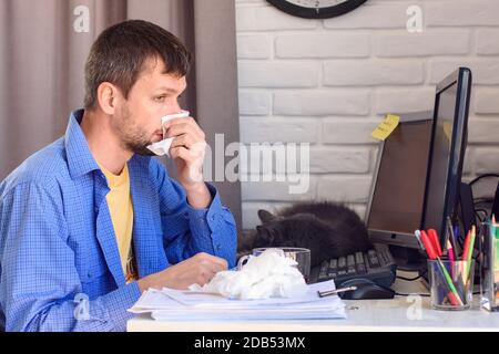 Un travailleur indépendant malade essuie son nez bien musqué avec des serviettes. Banque D'Images