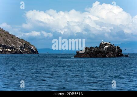 Îles Galápagos Banque D'Images