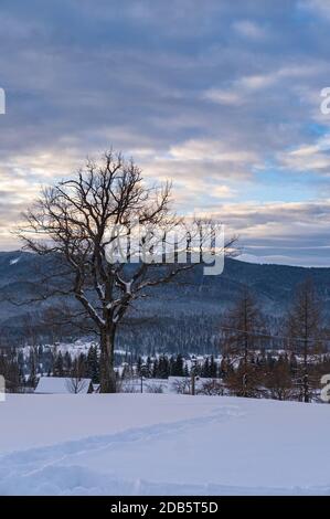 Petit village alpin et hiver montagne enneigée au premier lever du soleil autour, Voronenko, Carpates, Ukraine. Tracer sur un chemin fraîchement trodden à travers g Banque D'Images