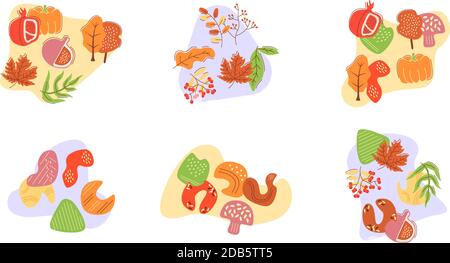 Légumes et champignons fourragers en automne illustrations vectorielles plates défini avec des formes abstraites Illustration de Vecteur