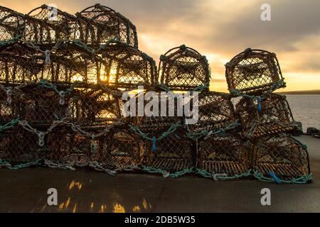 Paniers en forme de Cremel avec rétroéclairage lumineux pour la récolte des crabes et homards Banque D'Images