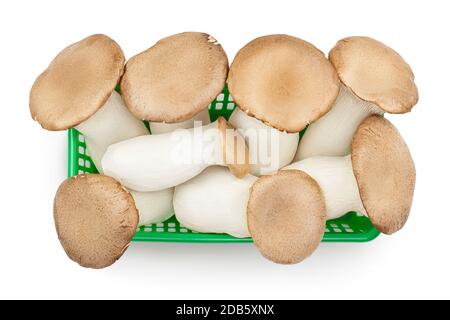 Champignon Oyster King ou Eringi dans un panier en plastique isolé sur fond blanc avec un chemin de coupure. Vue de dessus. Pose à plat Banque D'Images