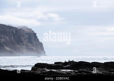 Vue spectaculaire sur les hautes falaises des îles Hoy et la mer goélands assis sur des rochers Banque D'Images