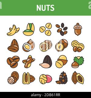 Jeu d'icônes de ligne de couleur de noix et de grains. Elément vectoriel isolé. Pictogrammes de contour pour la page Web, l'application mobile, la promotion. Illustration de Vecteur